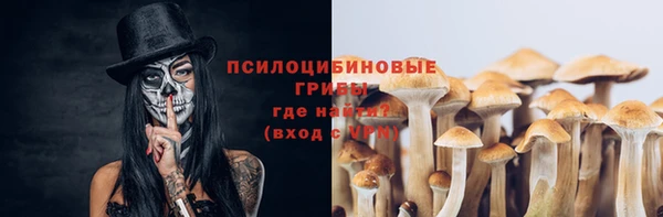 не бодяженный Арсеньев