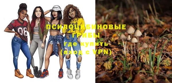 не бодяженный Арсеньев