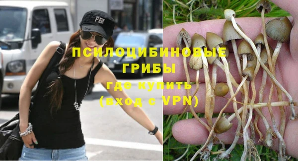 не бодяженный Арсеньев