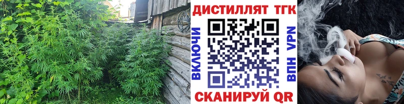 наркотики  Сурск  kraken маркетплейс  дарк нет клад  ТГК THC oil 